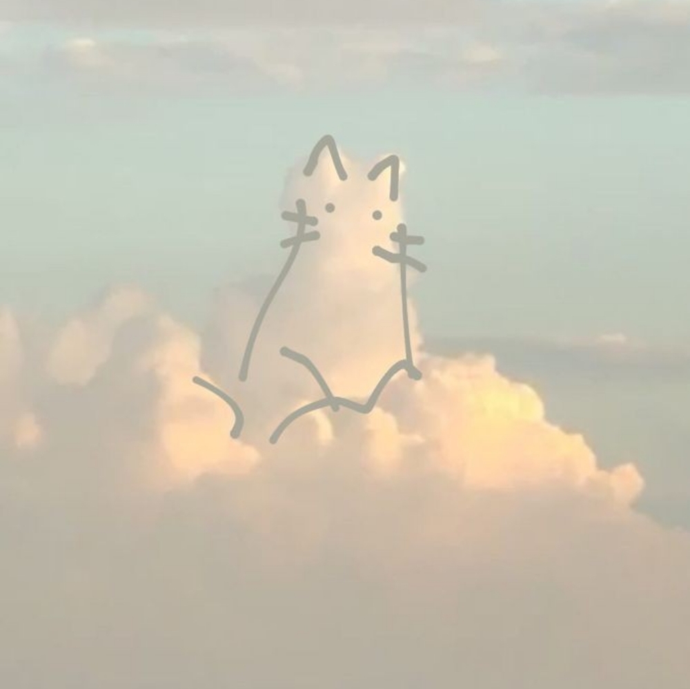 Meet your Posher, RV